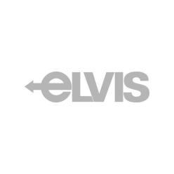 Logo E.L.V.I.S. Europäischer Ladungs-Verbund Internationaler Spediteure AG