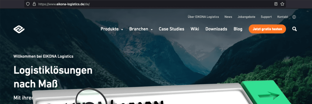 Website mit Zoom auf Domain, was für die Erklärung der Funktionsweise einer Domain steht