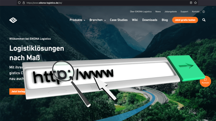 Website mit Zoom auf Domain, was für die Erklärung der Funktionsweise einer Domain steht