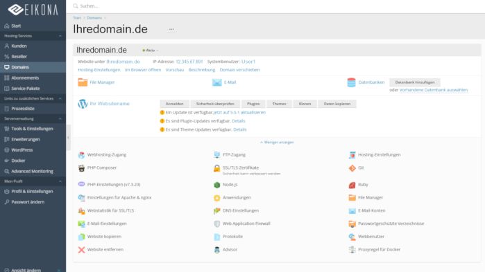 Screenshot von Bildschirm auf dem Plesk zu sehen ist
