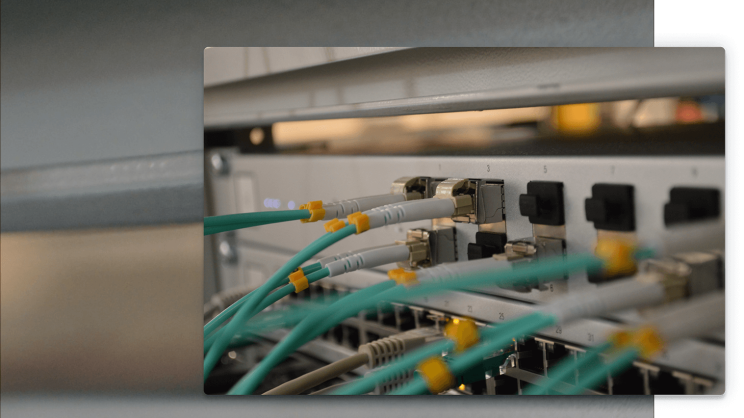 Turquoise cables with grey plugs for LAN and WAN.