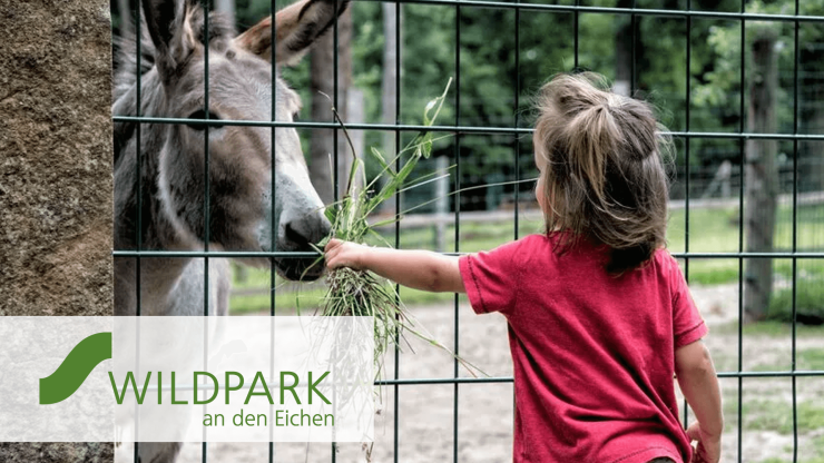 Der Wildpark an den Eichen in Schweinfurt bietet ein tolles Erlebnis für Familien.