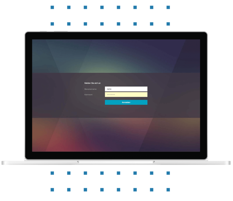 Screen on which login data can be seen, which indicates compliance with the required security level.